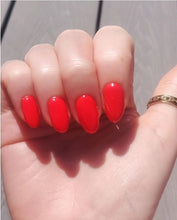 Load image into Gallery viewer, Tomato