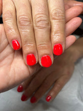 Load image into Gallery viewer, Tomato