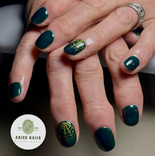 Load image into Gallery viewer, Evergreen