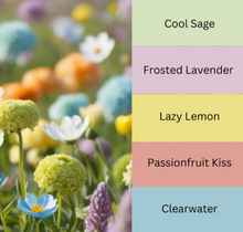 Load image into Gallery viewer, SPRING 25 COLLECTION

