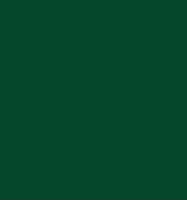 Load image into Gallery viewer, Evergreen

